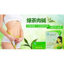 Herbal L-Carnitine Green Tea perte de poids capsule